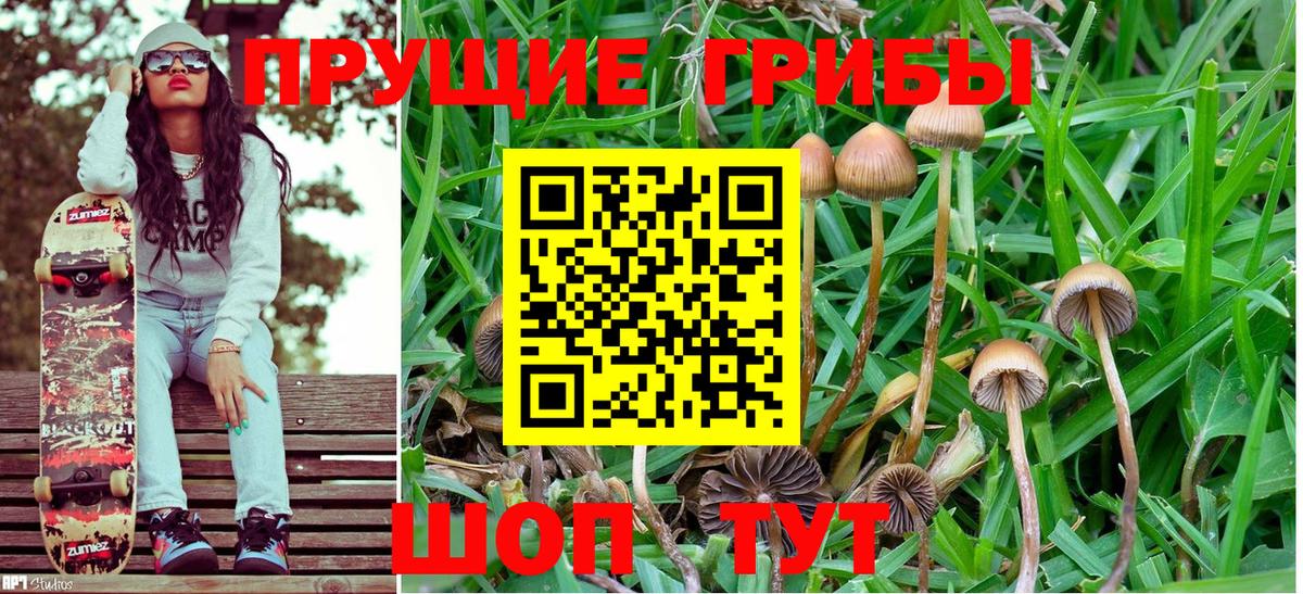 Галлюциногенные грибы Psilocybine cubensis  Вход с VPN  Псилоцибиновые грибы ЛСД  Сатка 